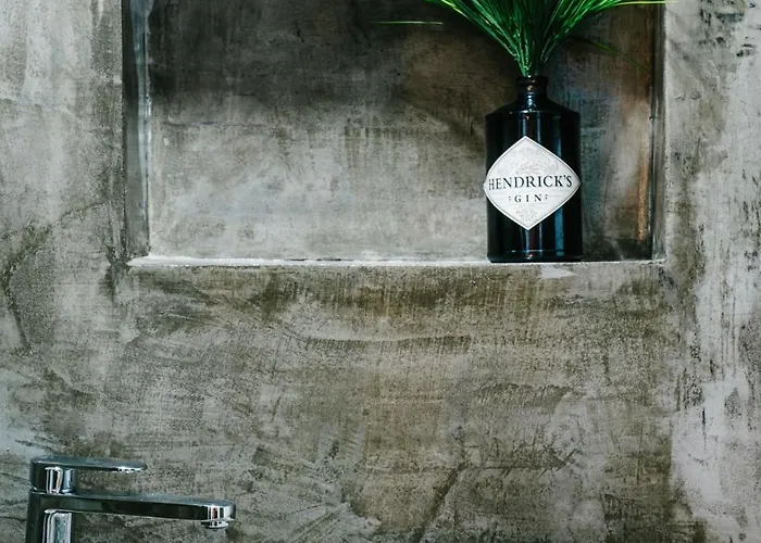 Zelitre * Figueira da Foz