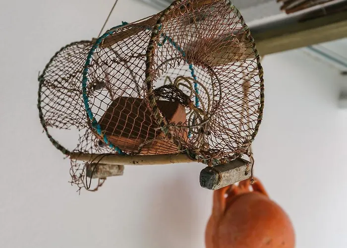 Zelitre * Figueira da Foz